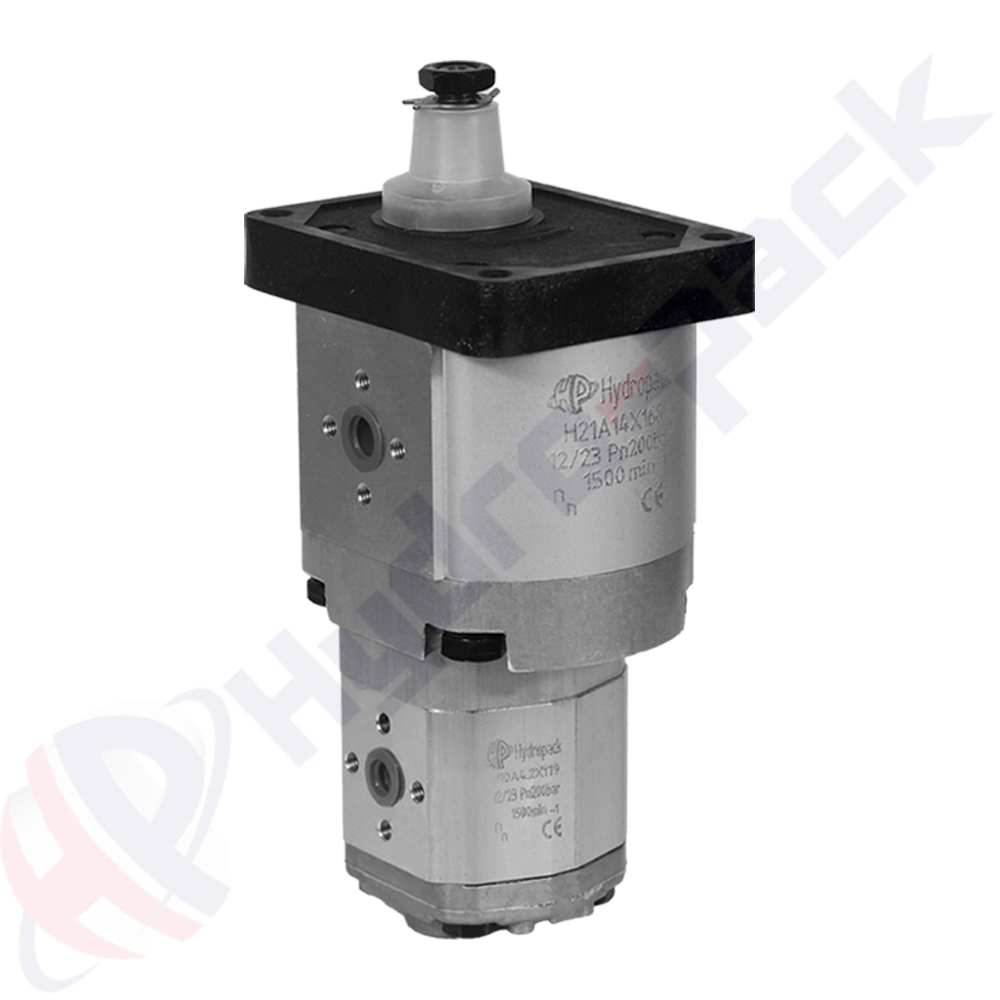 21C4.5X168/1.25X179 Group 20+10 Tandem Pump